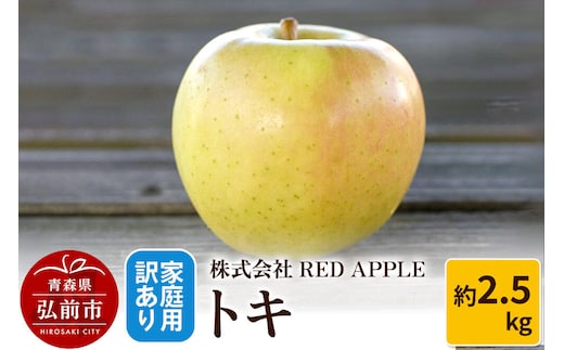 【26年10月～発送】りんご【訳あり】家庭用 トキ 約2.5kg 先行受付 [アップル おいしい トキ りんご 黄色 果実 果物 美味 林檎]