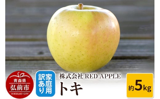 【26年10月～発送】りんご【訳あり】家庭用 トキ 約5kg 先行受付 [アップル おいしい トキ りんご 黄色 果実 果物 美味 林檎]