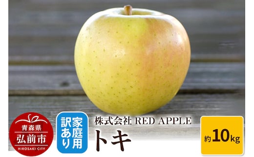 【26年10月～発送】りんご【訳あり】家庭用 トキ 約10kg 先行受付 [アップル おいしい トキ りんご 黄色 果実 果物 美味 林檎]