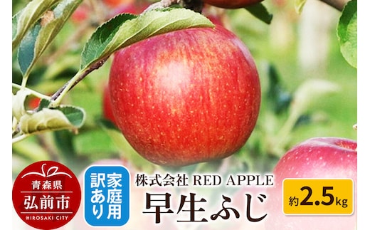 【26年10月発送】りんご【訳あり】家庭用 早生ふじ 約2.5kg 先行受付 [アップル おいしい ふじ りんご 果実 果物 赤色 早生 美味 林檎]