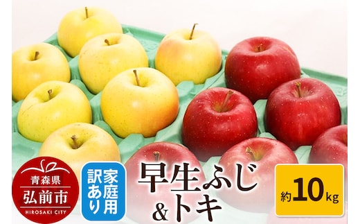 【26年10月発送】りんご【訳あり】家庭用 早生ふじ＆トキ 約10kg 先行受付 [アップル おいしい トキ ふじ りんご 黄色 果実 果物 赤色 早生 美味 林檎]