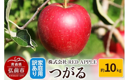 【26年9月発送】りんご【訳あり】家庭用 つがる 約10kg 先行受付 [アップル おいしい りんご 果実 果物 美味 林檎]