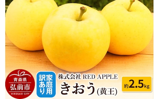 【26年9月発送】りんご【訳あり】家庭用 きおう（黄王）約2.5kg 先行受付 [アップル おいしい りんご 黄王 黄色 果実 果物 美味 林檎]