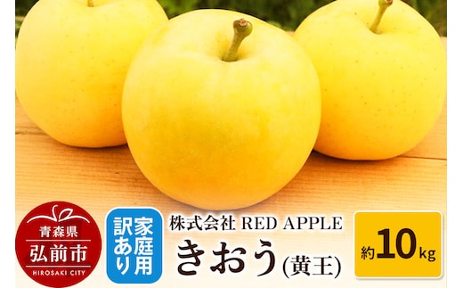 【26年9月発送】りんご【訳あり】家庭用 きおう（黄王）約10kg 先行受付 [アップル おいしい りんご 黄王 黄色 果実 果物 美味 林檎]