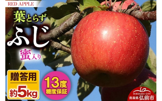 【26年12月発送】りんご 13度糖度保証【贈答用】蜜入り 葉とらずふじ 約5kg 先行受付 [アップル おいしい お歳暮 お中元 ギフト ふじ プレゼント りんご 果実 果物 赤色 贈り物 贈答用 糖度 美味 葉っぱ 葉とらず 林檎]