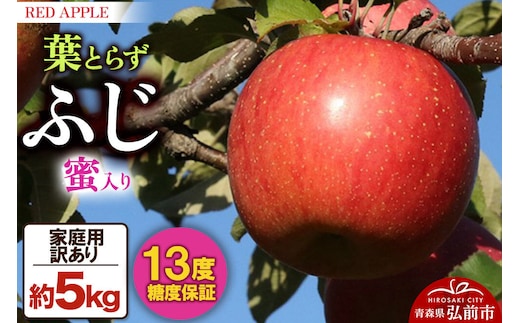【26年12月発送】りんご 13度糖度保証【訳あり】家庭用 蜜入り 葉とらずふじ 約5kg 先行受付 [アップル おいしい ふじ りんご 果実 果物 赤色 糖度 美味 葉っぱ 葉とらず 林檎]