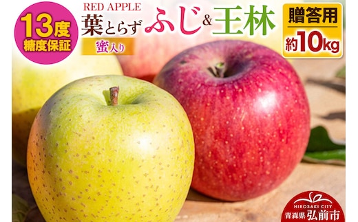 【26年12月発送】りんご 13度糖度保証【贈答用】蜜入り 葉とらずふじ＆王林 約10kg 先行受付 [アップル おいしい お歳暮 お中元 ギフト ふじ プレゼント りんご 王林 黄色 果実 果物 赤色 贈り物 贈答用 糖度 美味 葉っぱ 葉とらず 林檎]