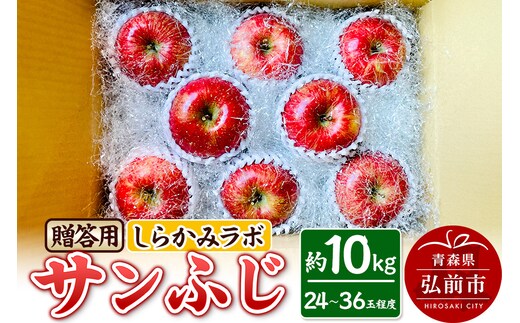 りんご サンふじ 贈答用 約10kg しらかみラボ