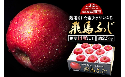 【26年12月～発送】りんご 糖度14度以上 「 飛馬ふじ 」（サンふじ）約 2.5kg [アップル おいしい ふじ りんご 果実 果物 赤色 糖度 美味 林檎]