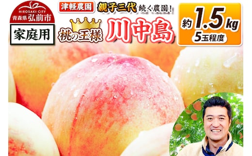 【26年8月発送】桃 約1.5kg(5玉程度) 青森【2026年産 桃の王様 川中島】もも 家庭用 果物 フルーツ くだもの 津軽農園 採れたて 農家直送 [おいしい ピーチ フルーツ もも 果実 果物 青森 津軽 桃 美味 川中島白桃 白桃]