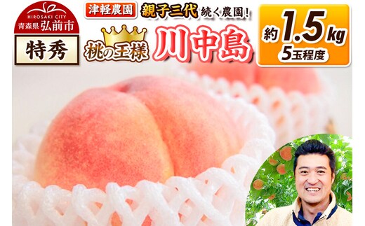【26年8月発送】桃 約1.5kg(5玉程度) 青森【2026年産 桃の王様 川中島】もも 特秀 果物 フルーツ くだもの 津軽農園 採れたて 農家直送 [おいしい ピーチ フルーツ もも 果実 果物 青森 津軽 桃 美味 川中島白桃 白桃]