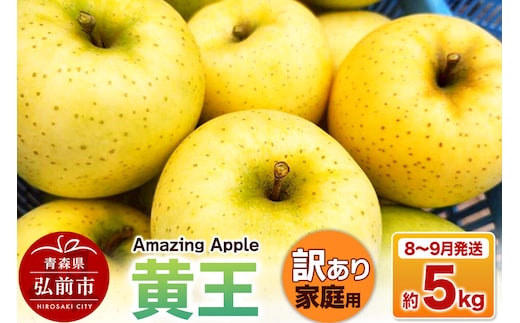 【26年8月下旬～9月発送】りんご 黄王【訳あり】家庭用 約5kg [青森産 りんご 黄王 きおう アップル 林檎 リンゴ 果物 果実 美味 青森県 弘前市]