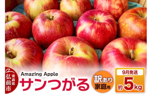 【26年9月発送】りんご サンつがる【訳あり】家庭用 約5kg [青森産 りんご サンつがる アップル 林檎 リンゴ 果物 果実 美味 青森県 弘前市]