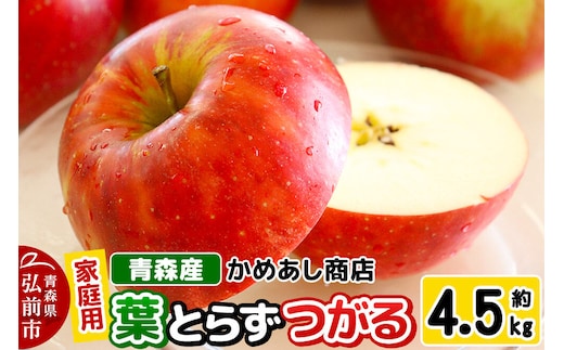 りんご 葉とらず つがる【家庭用】約4.5kg ゴールド農園 家庭用 青森県 弘前市 果物 フルーツ 林檎 リンゴ くだもの 不揃い 規格外 [産地直送 アップル おいしい 果実 美味 甘い 赤色]
