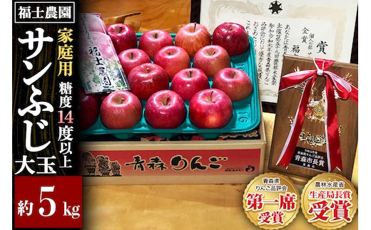 【26年11月～発送】りんご サンふじ【家庭用】大玉 約5kg【りんご品評会最高賞】糖度14度以上保証 青森県 弘前市 [青森県産 産地直送 大きい 高糖度 甘い アップル おいしい 果実 果物 赤色 美味]