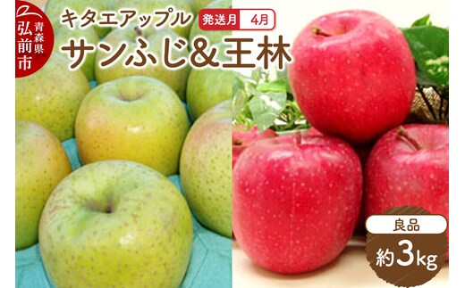【26年4月クール便発送】りんご サンふじ･王林【良品】約3kg【CA貯蔵】キタエアップル [贈答 贈り物 アップル 産地直送 青森県 弘前市 詰め合わせ セット 果物 フルーツ 林檎 リンゴ くだもの]