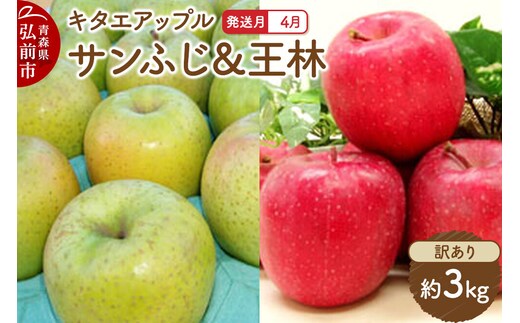 【26年4月クール便発送】りんご サンふじ･王林【訳あり】約3kg【CA貯蔵】キタエアップル [不揃い 規格外 アップル 産地直送 青森県 弘前市 詰め合わせ セット 果物 フルーツ 林檎 リンゴ くだもの]