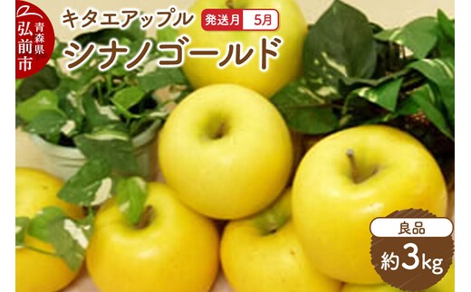 【26年5月クール便発送】りんご シナノゴールド【良品】約3kg【CA貯蔵】キタエアップル [贈答 贈り物 アップル 産地直送 青森県 弘前市 詰め合わせ セット 果物 フルーツ 林檎 リンゴ くだもの]