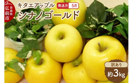 【26年5月クール便発送】りんご シナノゴールド【訳あり】約3kg【CA貯蔵】キタエアップル [不揃い 規格外 アップル 産地直送 青森県 弘前市 詰め合わせ セット 果物 フルーツ 林檎 リンゴ くだもの]
