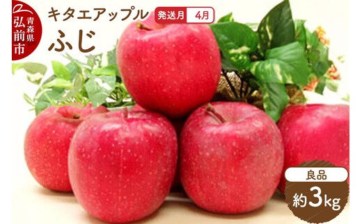 【26年4月クール便発送】りんご ふじ【良品】約3kg【CA貯蔵】キタエアップル [贈答 贈り物 アップル 産地直送 青森県 弘前市 詰め合わせ セット 果物 フルーツ 林檎 リンゴ くだもの]