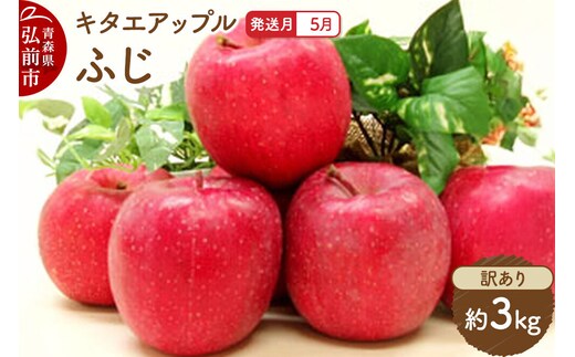 【26年5月クール便発送】りんご ふじ【訳あり】約3kg【CA貯蔵】キタエアップル [不揃い 規格外 アップル 産地直送 青森県 弘前市 詰め合わせ セット 果物 フルーツ 林檎 リンゴ くだもの]