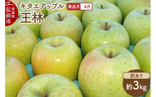 【26年4月クール便発送】りんご 王林【訳あり】約3kg【CA貯蔵】キタエアップル [不揃い 規格外 アップル 産地直送 青森県 弘前市 詰め合わせ セット 果物 フルーツ 林檎 リンゴ くだもの]