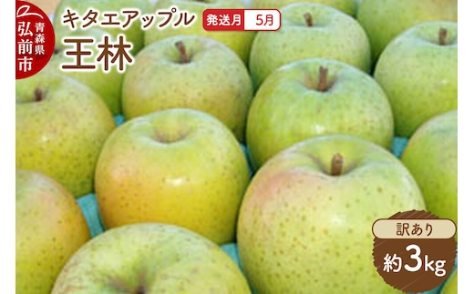 【26年5月クール便発送】りんご 王林【訳あり】約3kg【CA貯蔵】キタエアップル [不揃い 規格外 アップル 産地直送 青森県 弘前市 詰め合わせ セット 果物 フルーツ 林檎 リンゴ くだもの]