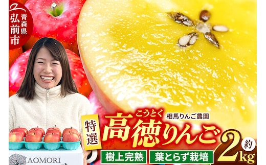 【26年12月発送】りんご 高徳（こうとく）【特選】約2kg 先行受付 青森県 弘前市 果物 フルーツ 林檎 リンゴ くだもの ギフト 贈り物 [先行予約 産地直送 アップル おいしい 果実 美味 甘い 赤色]