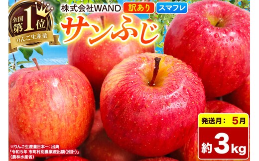 【26年5月クール便発送】 りんご サンふじ 3kg 箱 家庭用 訳あり 【スマートフレッシュ】 青森県産 [りんご サンふじ 家庭用 林檎 アップル 赤 果実 果物 フルーツ 美味 おいしい 青森県 弘前市 WAND]