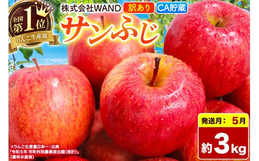 【26年5月クール便発送】 りんご サンふじ 3kg 箱 家庭用 訳あり 【CA貯蔵】 青森県産 [りんご サンふじ 家庭用 林檎 アップル 赤 果実 果物 フルーツ 美味 おいしい 青森県 弘前市 WAND]
