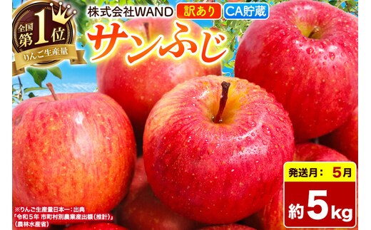 【26年5月クール便発送】 りんご サンふじ 5kg 箱 家庭用 訳あり 【CA貯蔵】 青森県産 [りんご サンふじ 家庭用 林檎 アップル 赤 果実 果物 フルーツ 美味 おいしい 青森県 弘前市 WAND]