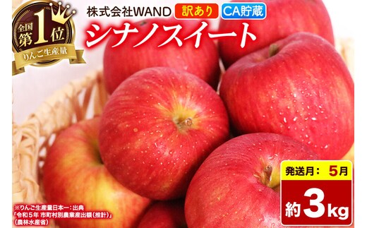 【26年5月クール便発送】 りんご シナノスイート 3kg 箱 家庭用 訳あり 【CA貯蔵】 青森県産 [りんご シナノスイート 家庭用 林檎 アップル 赤 果実 果物 フルーツ 美味 おいしい 青森県 弘前市 WAND]
