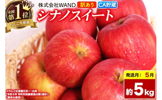 【26年5月クール便発送】 りんご シナノスイート 5kg 箱 家庭用 訳あり 【CA貯蔵】 青森県産 [りんご シナノスイート 家庭用 林檎 アップル 赤 果実 果物 フルーツ 美味 おいしい 青森県 弘前市 WAND]