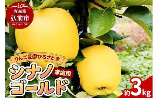 【26年11月中旬～発送】りんご シナノゴールド 家庭用 約3kg 先行受付 [先行予約 林檎 3 kg 美味 おいしい 青森県 弘前市 りんご農園ひろさと舎]