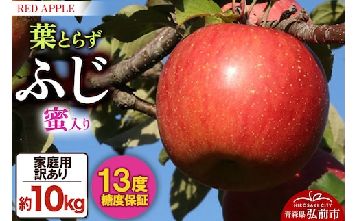りんご 蜜入り 13度糖度保証【訳あり】家庭用 葉とらずふじ 約10kg