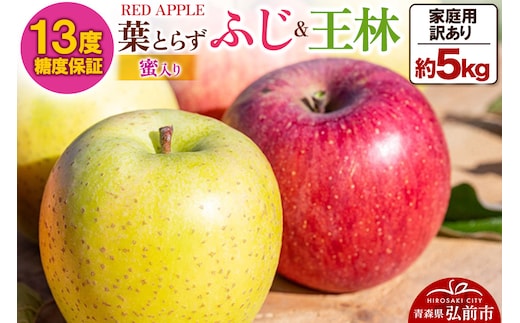 りんご 13度糖度保証【訳あり】家庭用 蜜入り 葉とらずふじ＆王林 約5kg