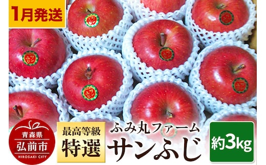 【寄附金額見直しました】【26年1月～発送】りんご ふみ丸ファーム 最高等級「特選」サンふじ 約3kg