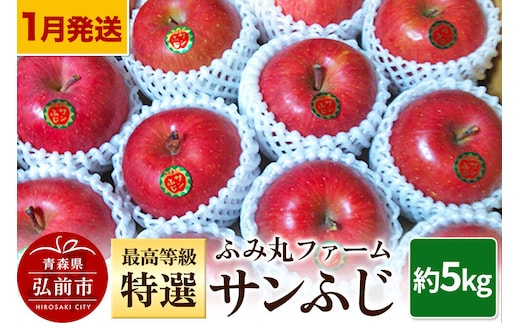 【寄附金額見直しました】【26年1月～発送】りんご ふみ丸ファーム 最高等級「特選」サンふじ 約5kg