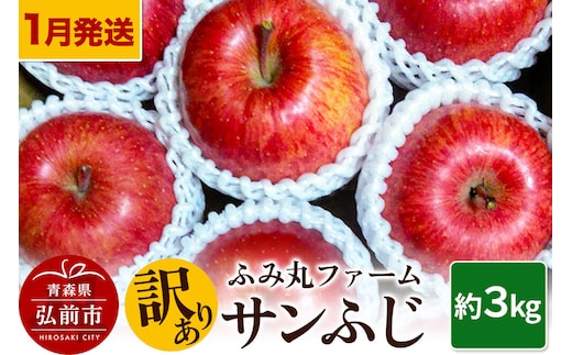 【寄附金額見直しました】【26年1月～発送】りんご ふみ丸ファーム【訳あり】サンふじ 約3kg