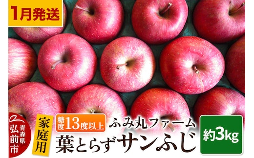 【寄附金額見直しました】【26年1月～発送】りんご【家庭用】葉とらず サンふじ 約3kg 糖度13度以上 林檎 リンゴ 果物 くだもの フルーツ 青森