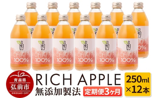 【寄附金額見直しました】【定期便3ヶ月】RICH APPLE 無添加製法 りんごジュース12本セット（250ml×12本×3回）【飲料類 果汁飲料】