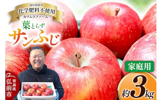 【寄附金額見直しました】りんご 葉とらず サンふじ 約3kg カワムラファーム 家庭用 青森 果物 フルーツ 林檎 リンゴ くだもの