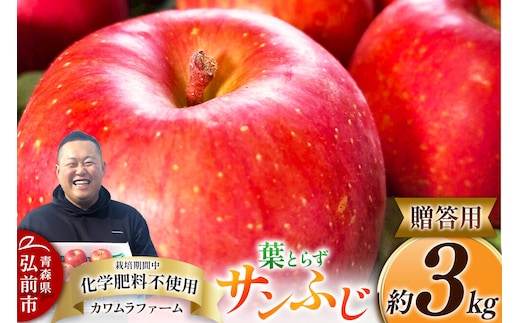 【寄附金額見直しました】りんご 葉とらず サンふじ 約3kg カワムラファーム 贈答用 青森 果物 フルーツ 林檎 リンゴ くだもの