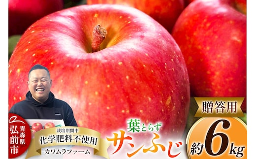【寄附金額見直しました】りんご 葉とらず サンふじ 約6kg カワムラファーム 贈答用 青森 果物 フルーツ 林檎 リンゴ くだもの