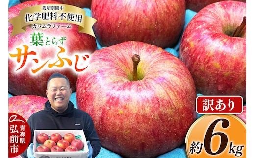 【寄附金額見直しました】りんご 葉とらず サンふじ 約6kg カワムラファーム 訳あり 青森 果物 フルーツ 林檎 リンゴ くだもの 不揃い 規格外