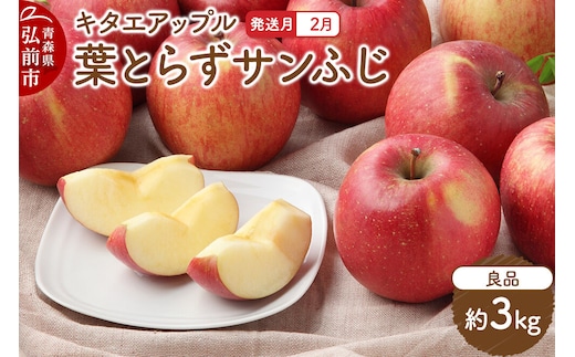 【寄附金額見直しました】【26年2月発送】りんご 葉取らずサンふじ【良品】約3kg キタエアップル