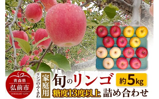【寄附金額見直しました】りんご 家庭用 旬のリンゴ詰め合わせ 約5kg 糖度13度以上