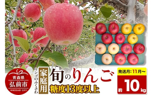 【26年11月～発送】りんご 旬のリンゴ詰め合わせ【家庭用】約10kg 糖度13度以上【先行受付】 [先行予約 アップル おいしい りんご 果実 果物 詰め合わせ 詰合 糖度 美味 林檎]