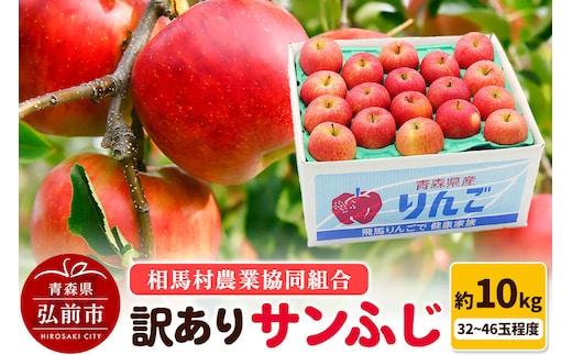 【寄附金額見直しました】【26年3月発送】りんご【訳あり】サンふじ 約10kg（32～46玉程度）
