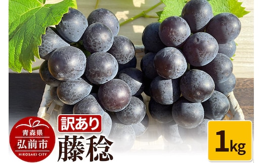 【寄附金額見直しました】【26年9月～発送】 【訳あり】 藤稔 1kg【先行受付】 ぶどう フルーツ 果物 ブドウ 葡萄 グレープ くだもの 産地直送